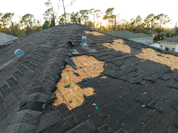 Best Roof Moss and Algae Removal  in Folsom, PA