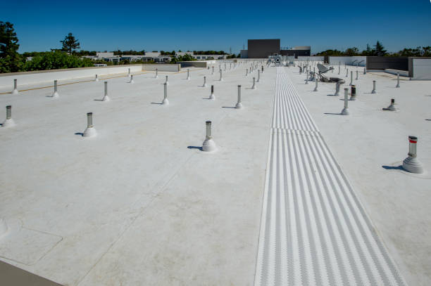 Best Rubber Roofing (EPDM, TPO)  in Folsom, PA